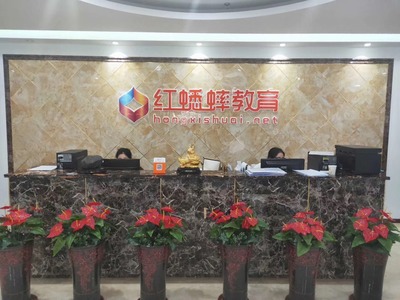 紅蟋蟀教育發(fā)展歷程 探索教育咨詢的創(chuàng)新之路